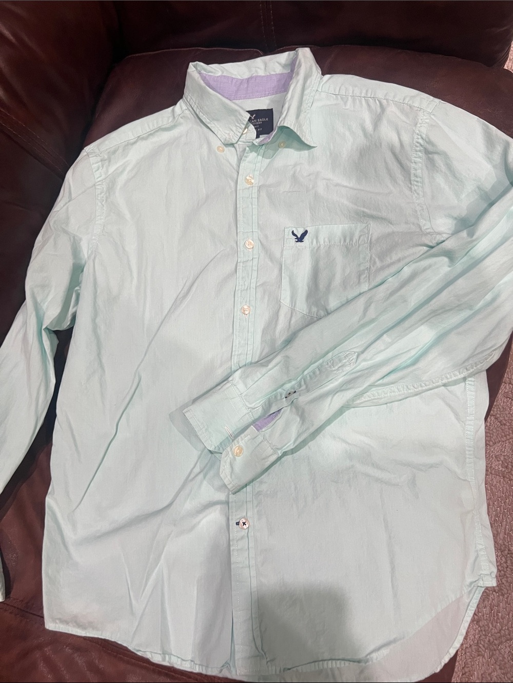 American Eagle Outfitters Mint Green Long-Sleeve Button-Down Shirt - Men Medium
